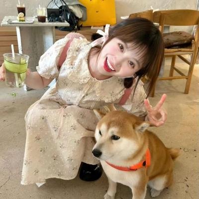 亡命七金刚