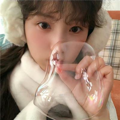 海葵